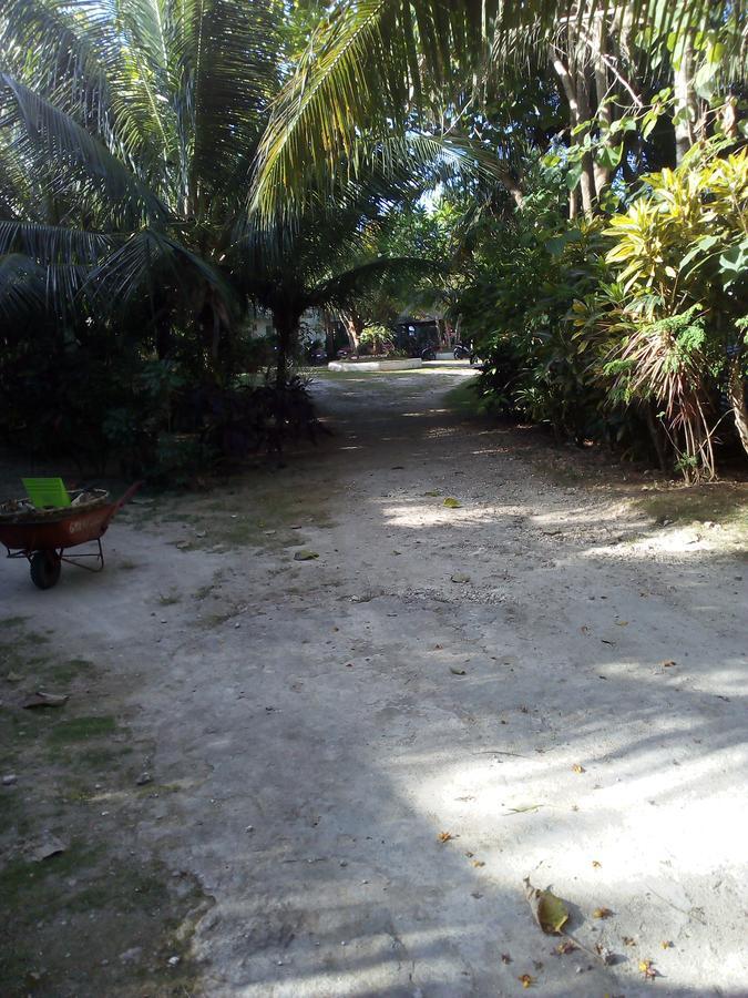 John Lhea Beach Cottages Siquijor Exteriör bild