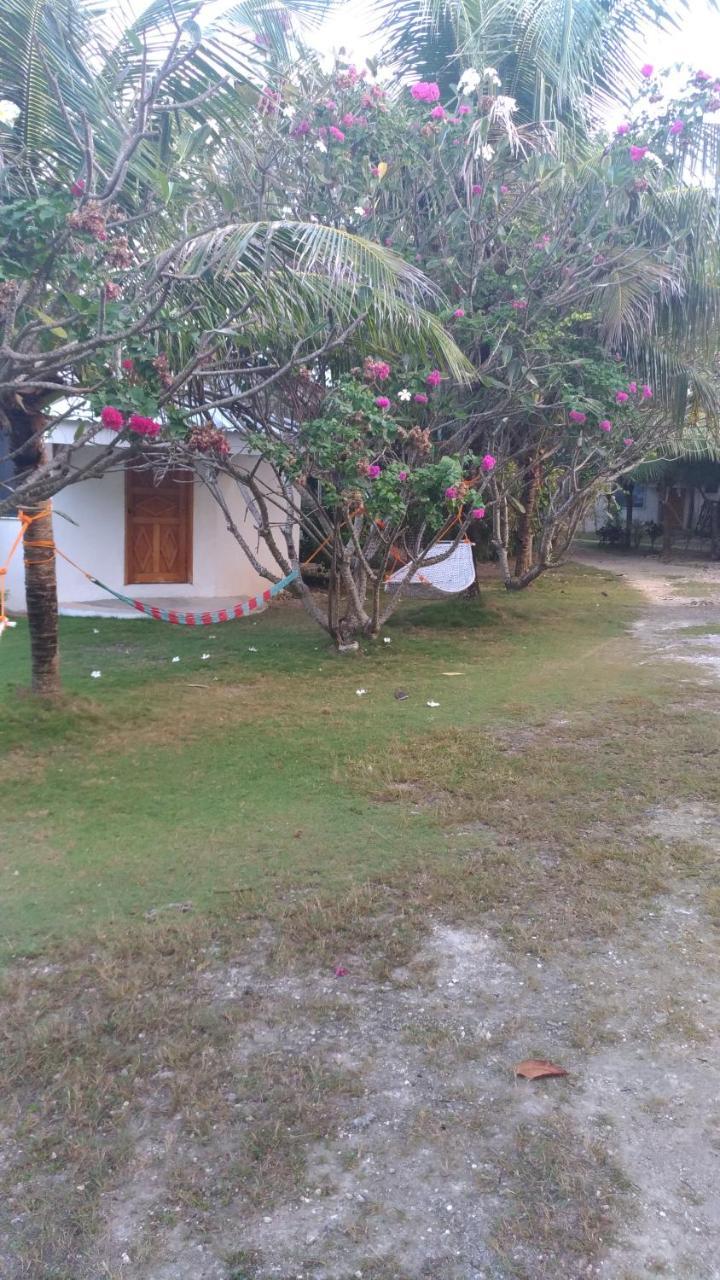 John Lhea Beach Cottages Siquijor Exteriör bild
